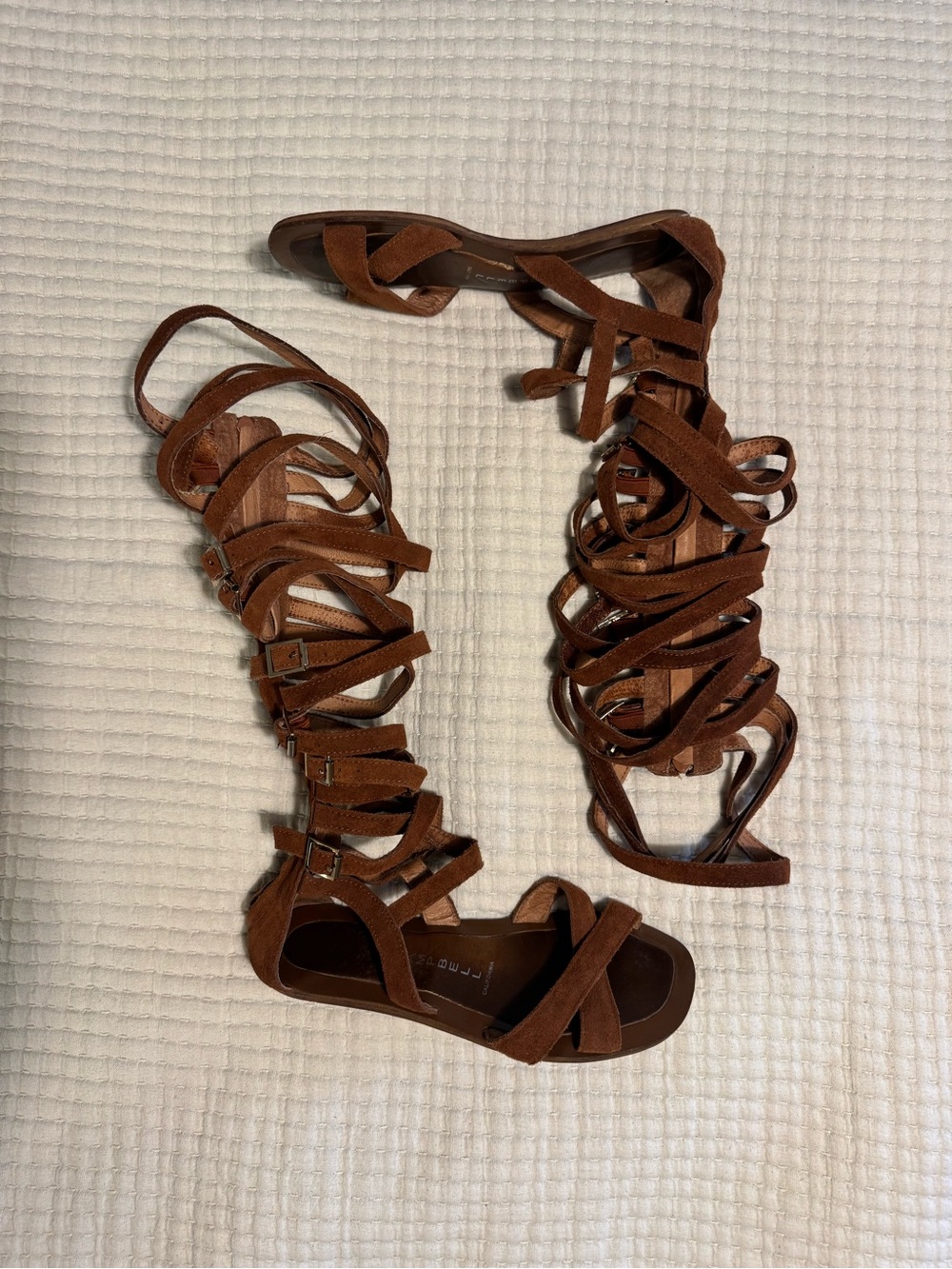 Jeffrey Campbell Romana Fest Gladiator Sandals